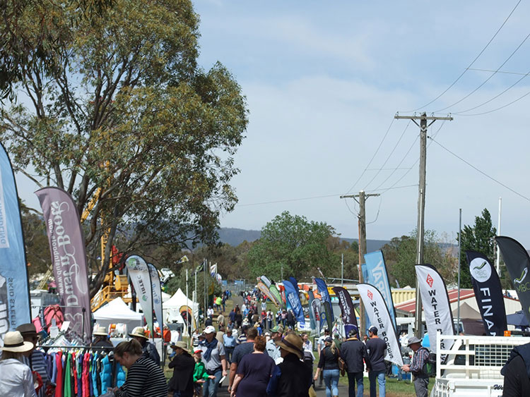 Government Support For Field Days Continues The Canowindra Phoenix